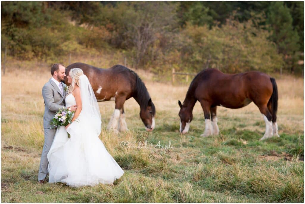 Candid-Apple-Collective-Photography-Harvest-Golf-Club-Wedding-_0142