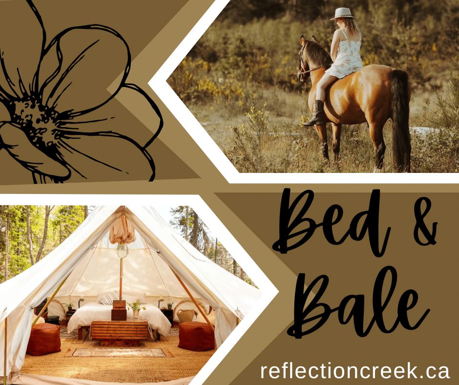 bed and bale