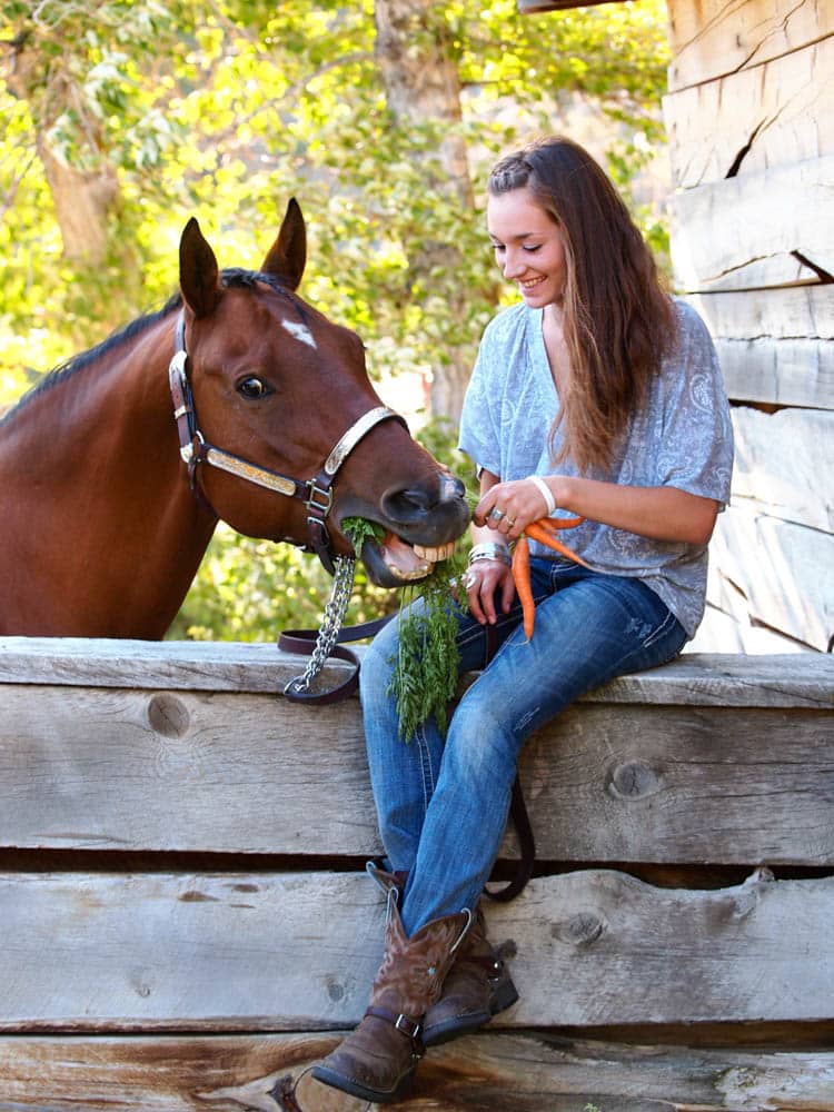 equine10