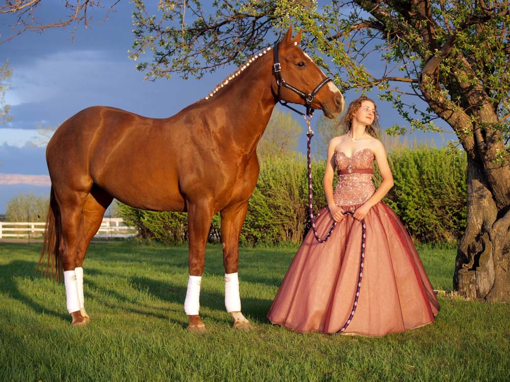 equine25